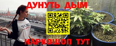 молекула духа Вязники