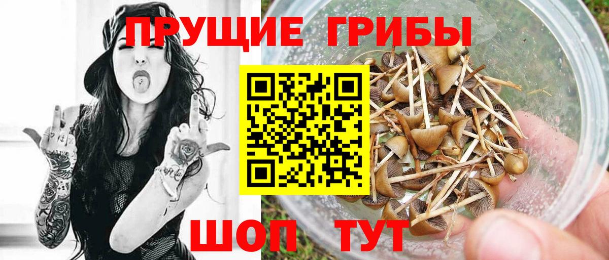 Галлюциногенные грибы ЛСД  Вход с VPN  Осинники 