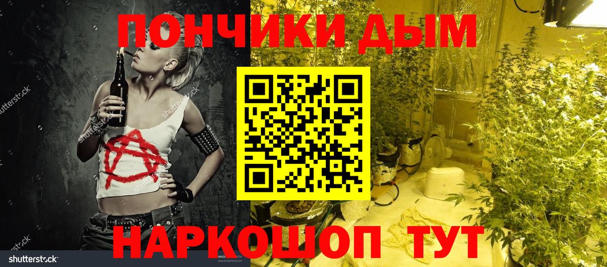 Каннабис планчик  Вход с VPN  Бошки Шишки план  Осинники  Бошки марихуана индика 